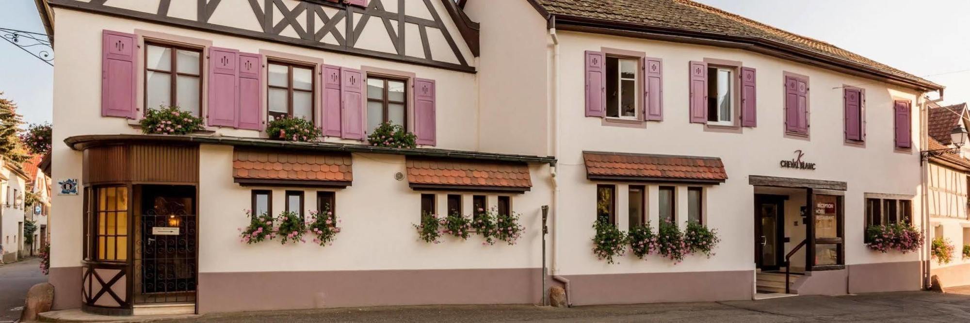 Auberge Du Cheval Blanc Depuis 1785 Westhalten Luaran gambar